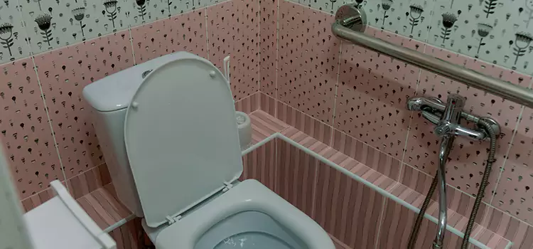 Meeting Diverse Needs With Accessible Restroom Solutions in Fairview Heights, IL